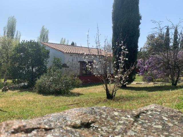 El Pueblo De Leo Hotel Badajoz Bagian luar foto