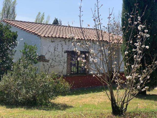 El Pueblo De Leo Hotel Badajoz Bagian luar foto